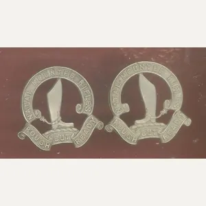 South African Natal Mounted Rifles Edwardian collar badges