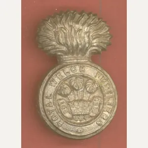 Royal Welch Fusiliers WW2 plastic economy cap badge