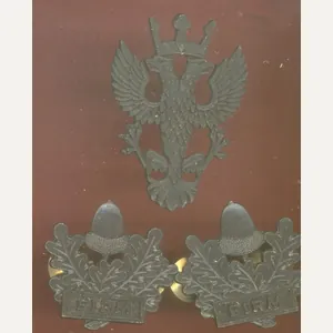 The Mercian Regiment Officer's / All Ranks cap & collar …