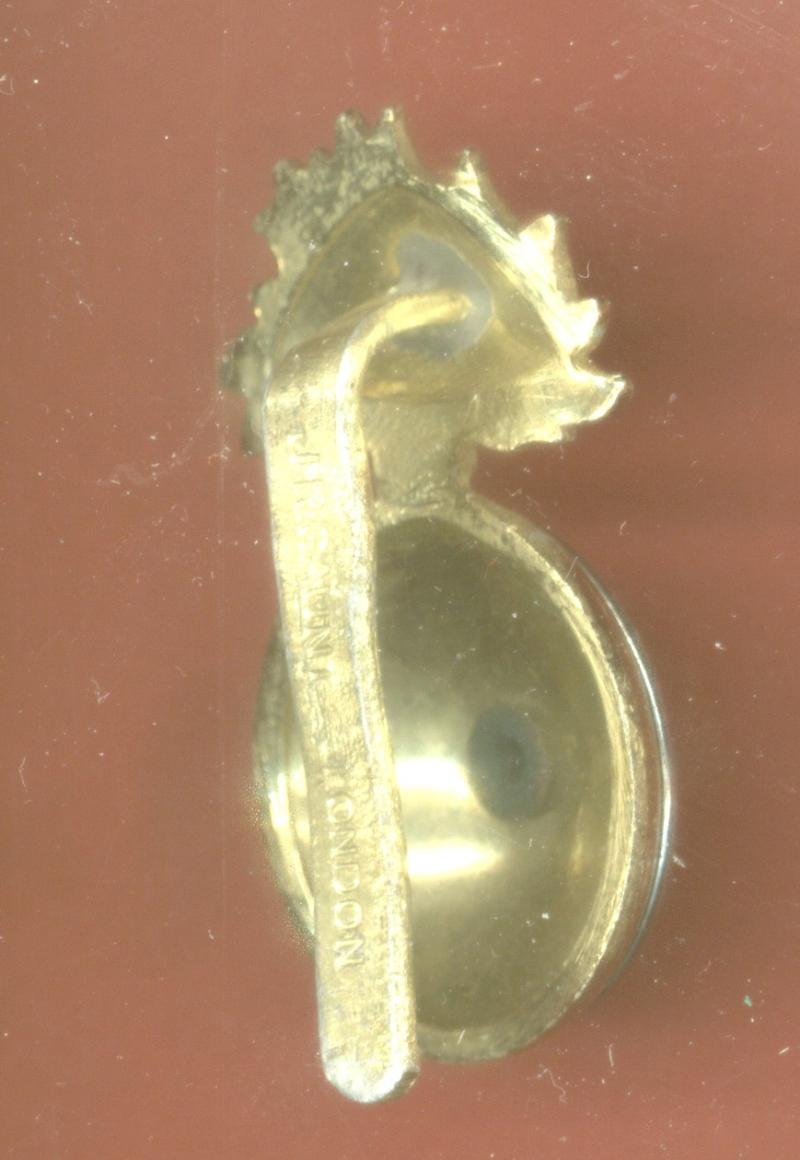 Royal Northumberland Fusiliers staybright cap badge — image 2