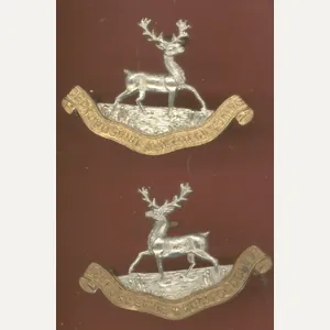 Bedfordshire & Hertfordshire Regiment OR's collar badges