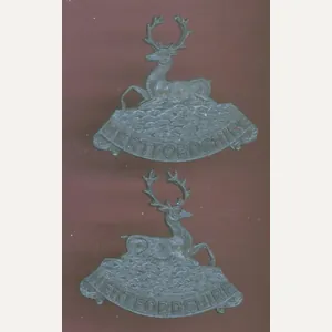 Hertfordshire Regiment Officer's OSD collar badges