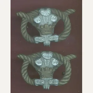 The North Staffordshire Regiment Victorian OR's collar badges