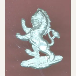 5th Haytor V. B. Devonshire Regiment ? collar badge