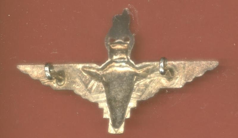 The Parachute Regiment Officer's beret badge — image 2