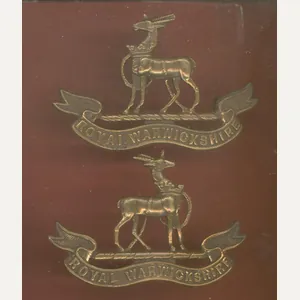Royal Warwickshire Regiment Officer's OSD collar badges