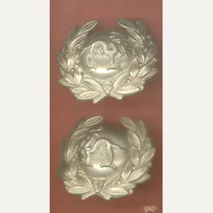 1st Vol Bn. The Border Regt Victorian OR's collar badges