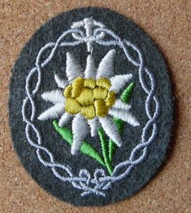 Mountain Troop Patch