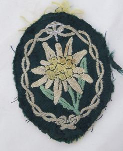 WW2 German Gebirgsjäger arm patch- BeVo type