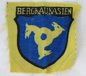 WW2 German Wehrmacht eastern volunteer arm patch - Bergkaukasien