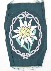 WW2 German Wehrmacht Mountain troops sleeve patch