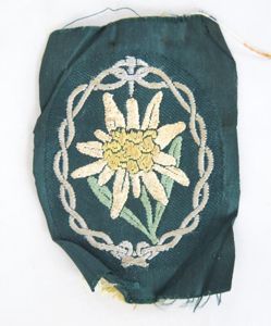 WW2 German Wehrmacht Mountain troops sleeve patch