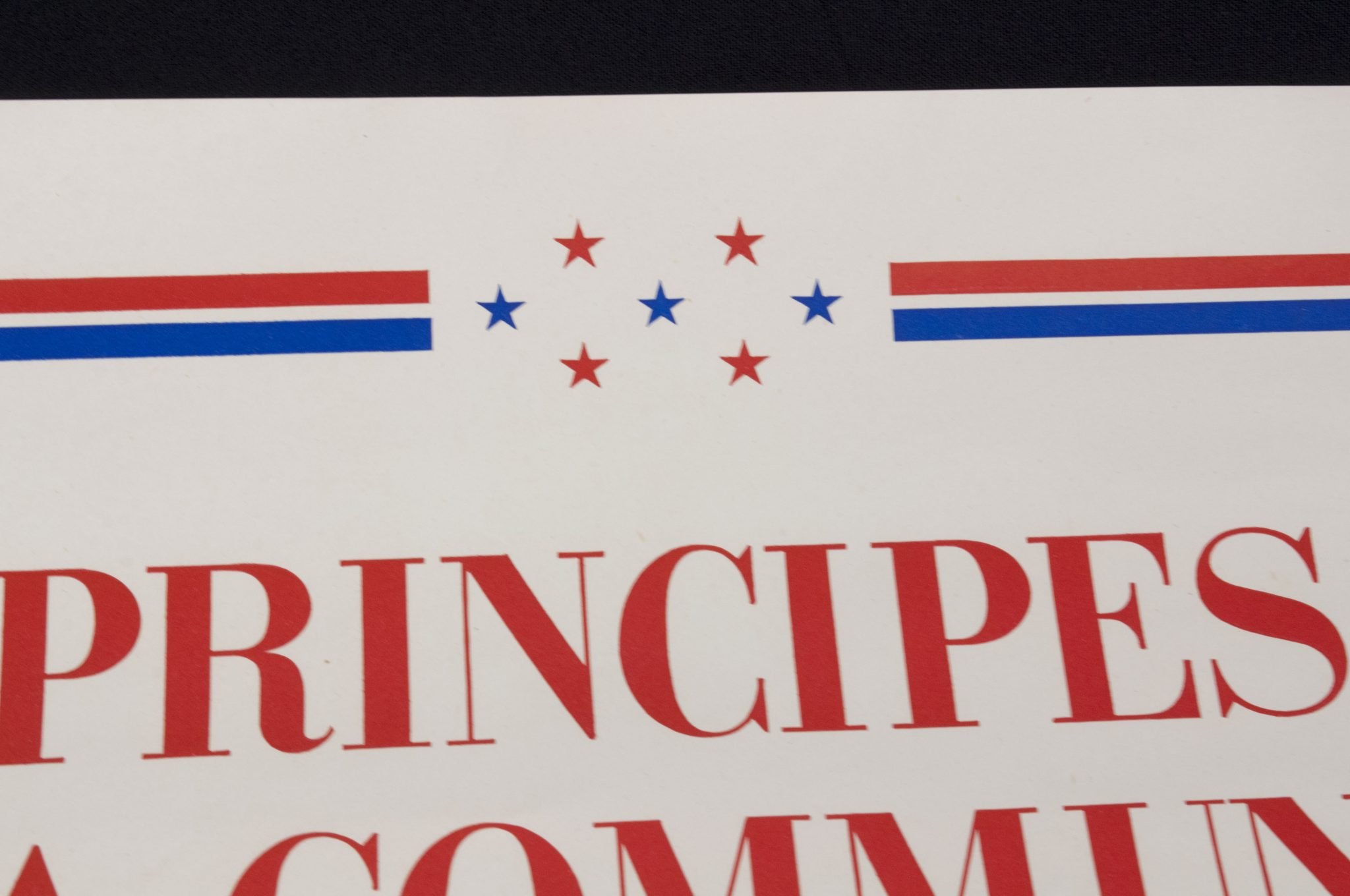 Vichy France poster + Marechal Petain book: 'Principes de la Communauté' — image 8