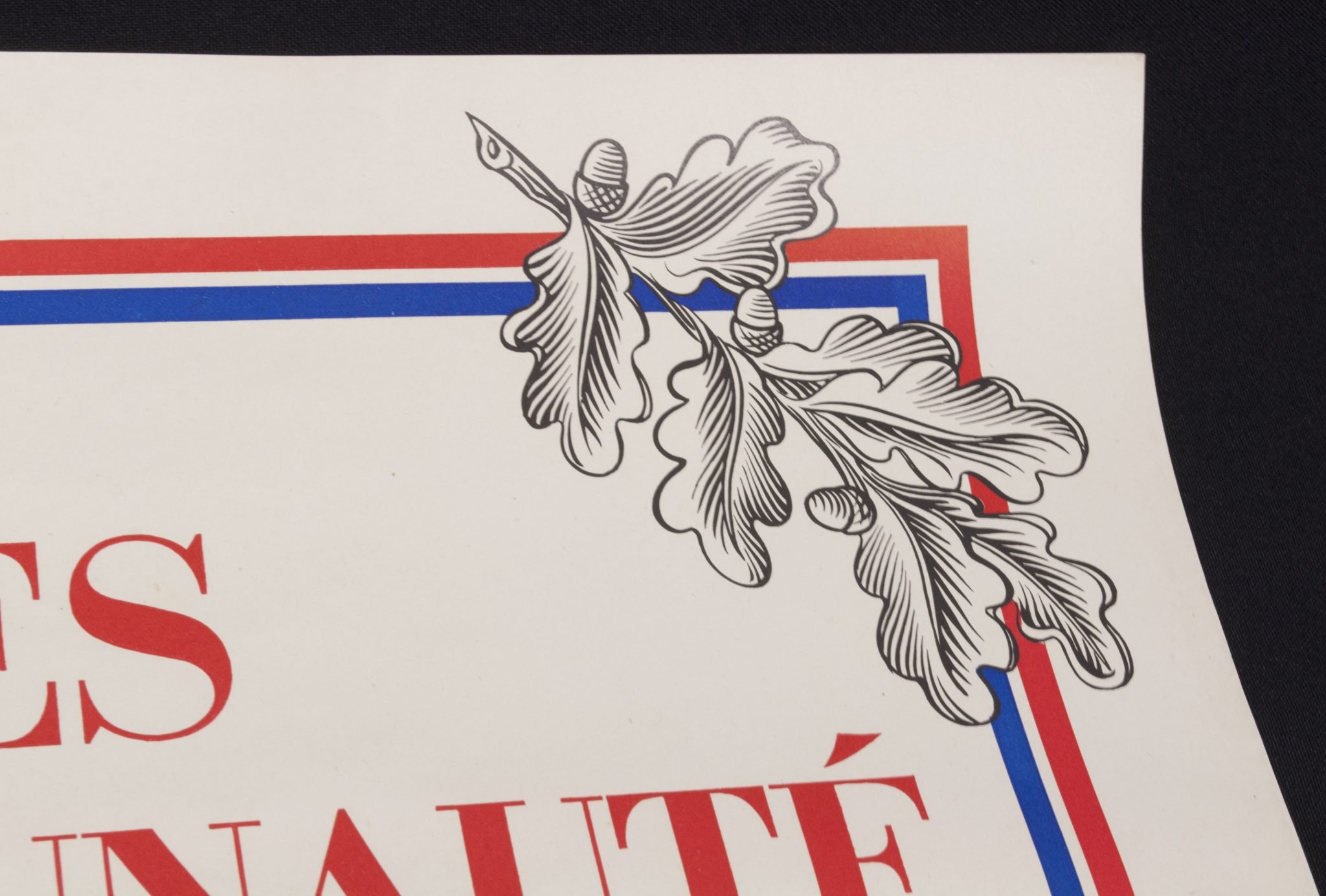 Vichy France poster + Marechal Petain book: 'Principes de la Communauté' — image 9