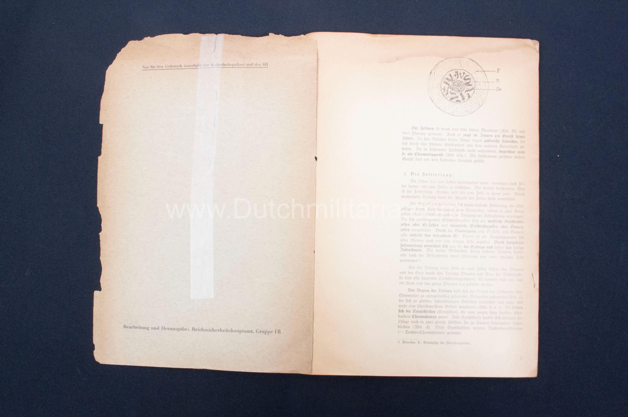 (Book) SS – Der Chef der Sicherheitspolizei und des SD – Der Rassegedanke und seine gesetzliche Gestaltung (1940) – EXTREMELY RARE!!! — image 25