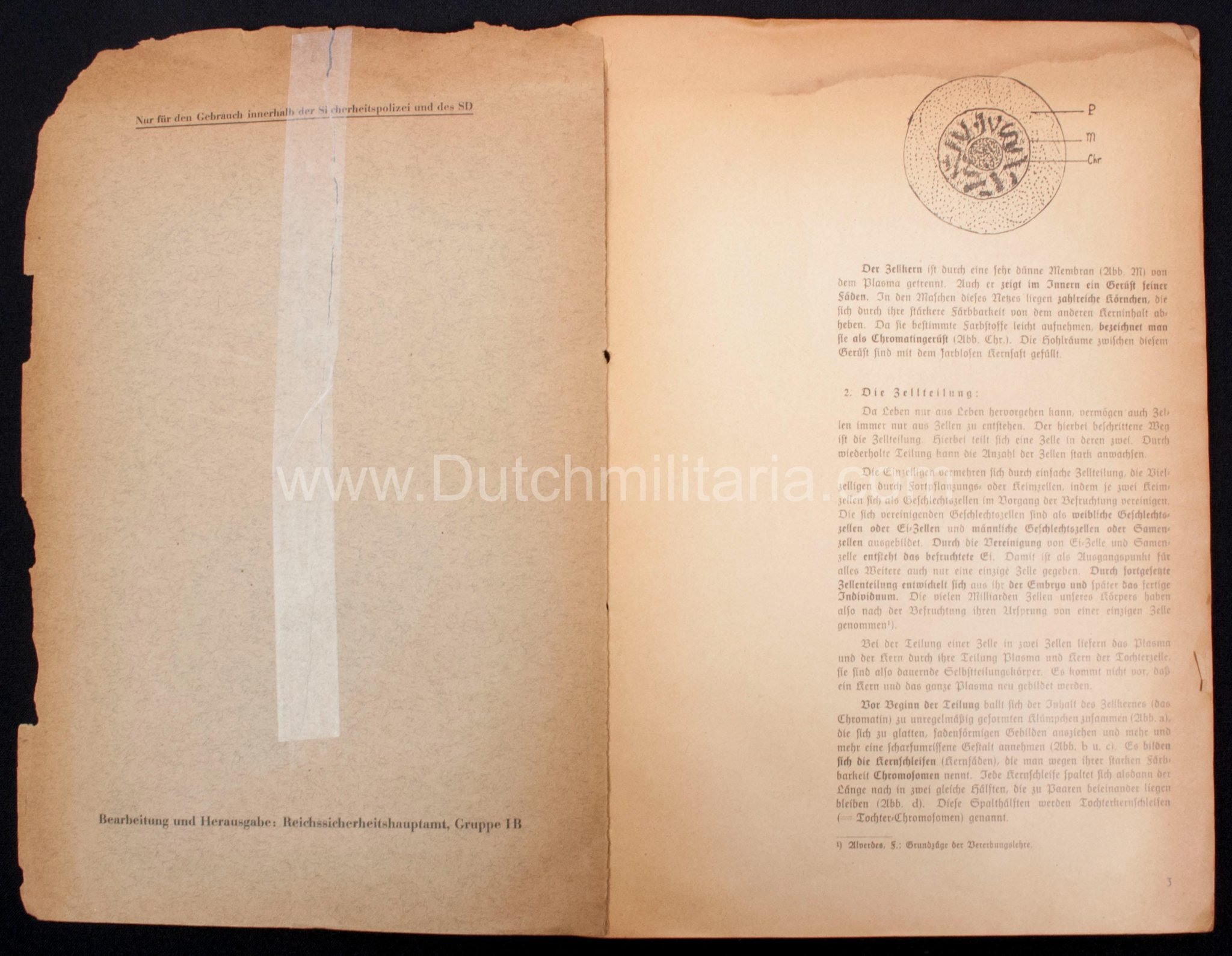 (Book) SS – Der Chef der Sicherheitspolizei und des SD – Der Rassegedanke und seine gesetzliche Gestaltung (1940) – EXTREMELY RARE!!! — image 26