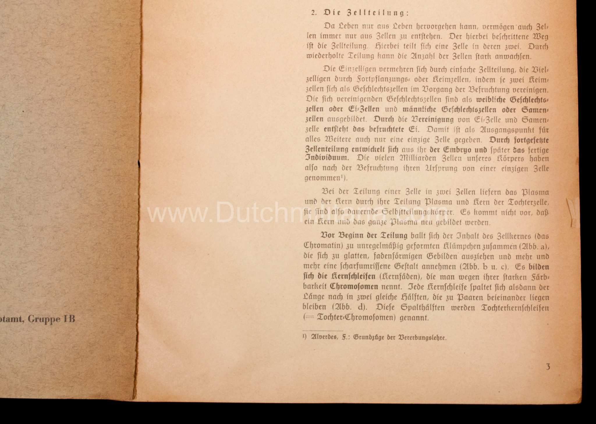 (Book) SS – Der Chef der Sicherheitspolizei und des SD – Der Rassegedanke und seine gesetzliche Gestaltung (1940) – EXTREMELY RARE!!! — image 33