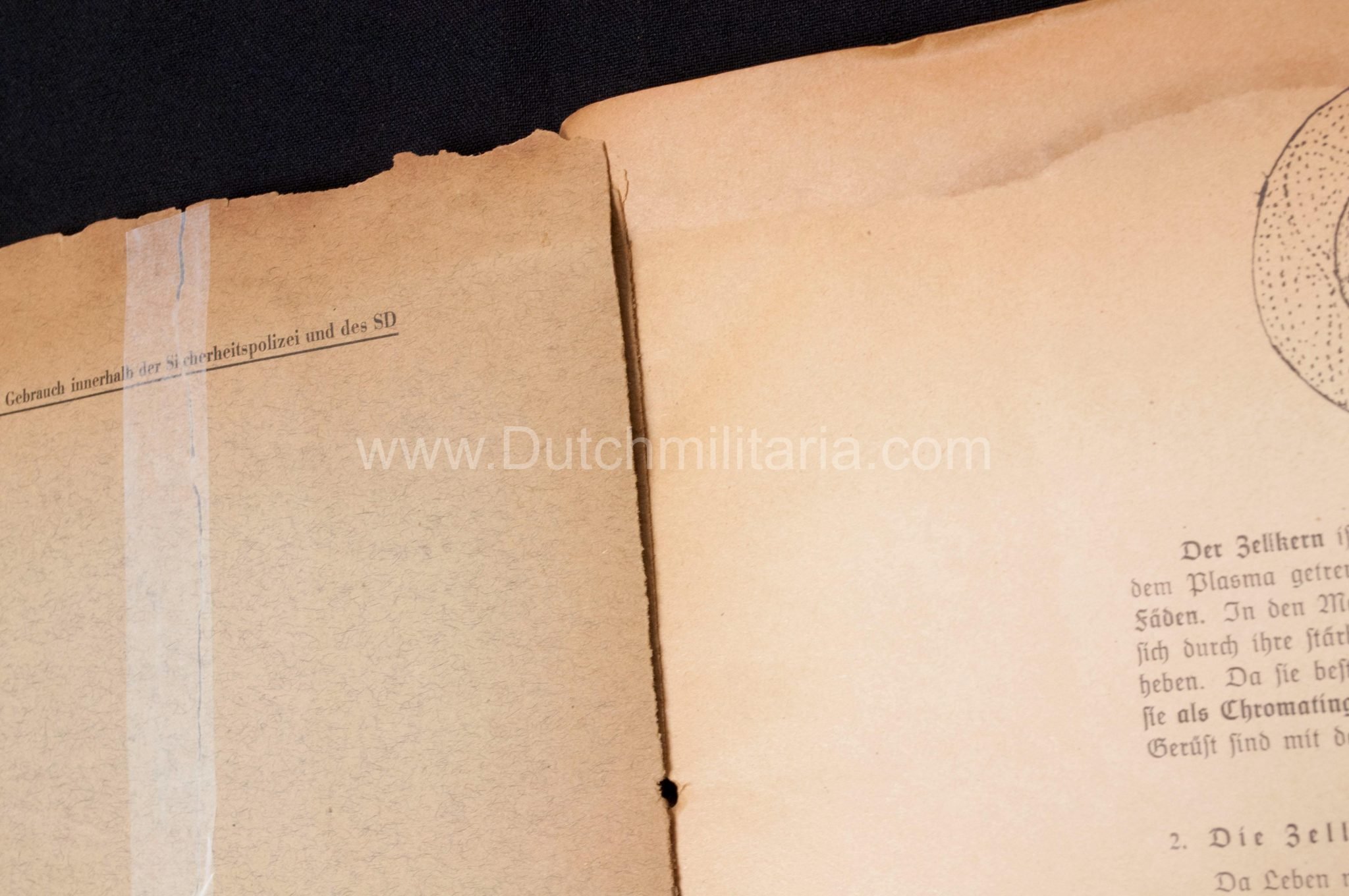 (Book) SS – Der Chef der Sicherheitspolizei und des SD – Der Rassegedanke und seine gesetzliche Gestaltung (1940) – EXTREMELY RARE!!! — image 34