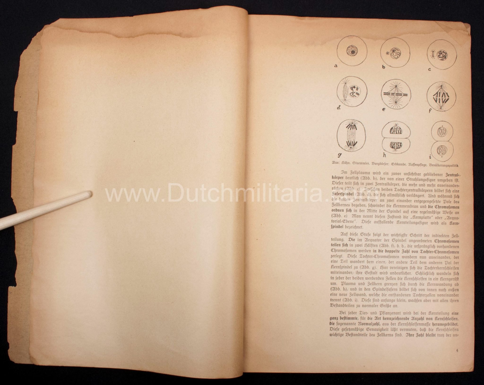 (Book) SS – Der Chef der Sicherheitspolizei und des SD – Der Rassegedanke und seine gesetzliche Gestaltung (1940) – EXTREMELY RARE!!! — image 35