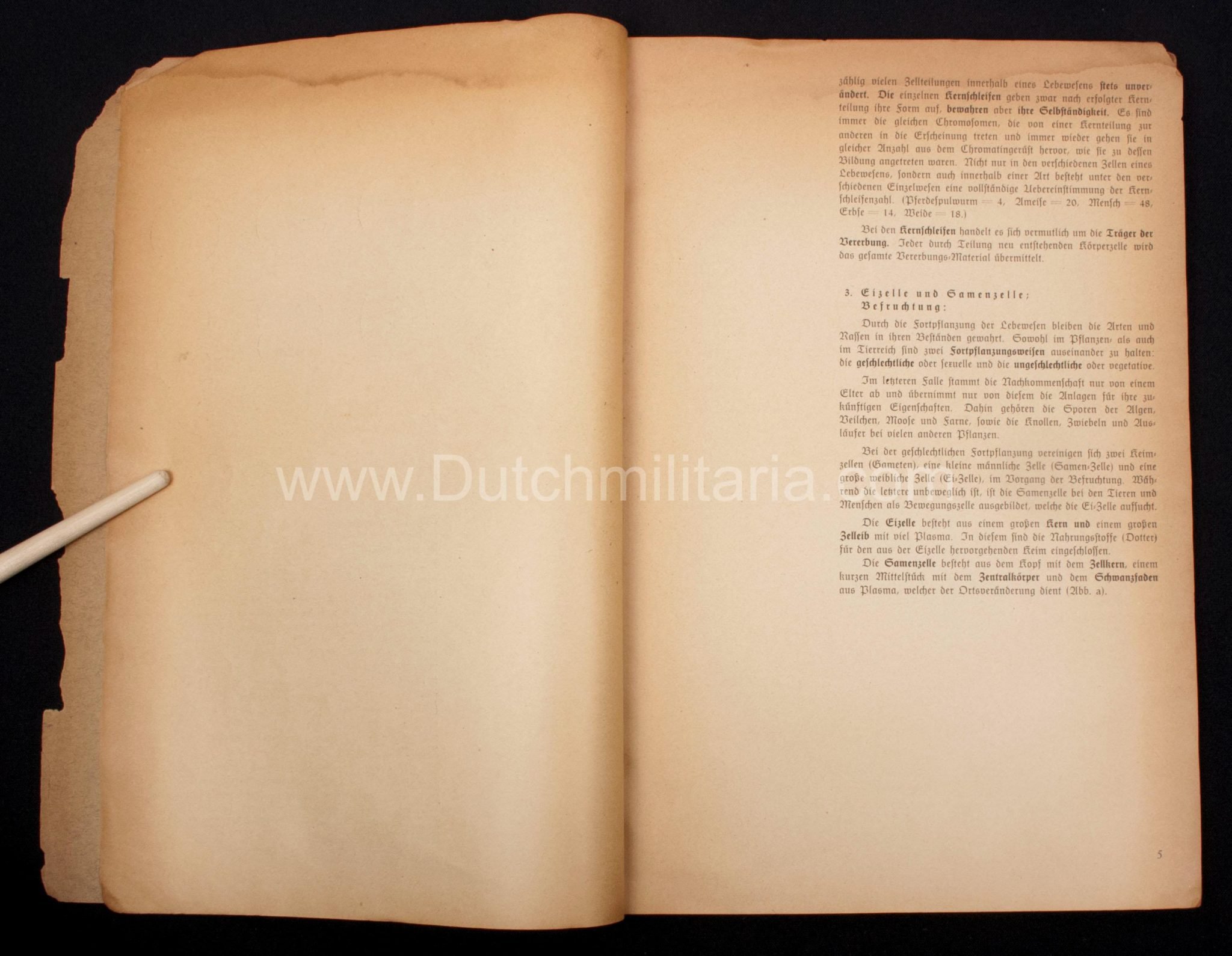 (Book) SS – Der Chef der Sicherheitspolizei und des SD – Der Rassegedanke und seine gesetzliche Gestaltung (1940) – EXTREMELY RARE!!! — image 38