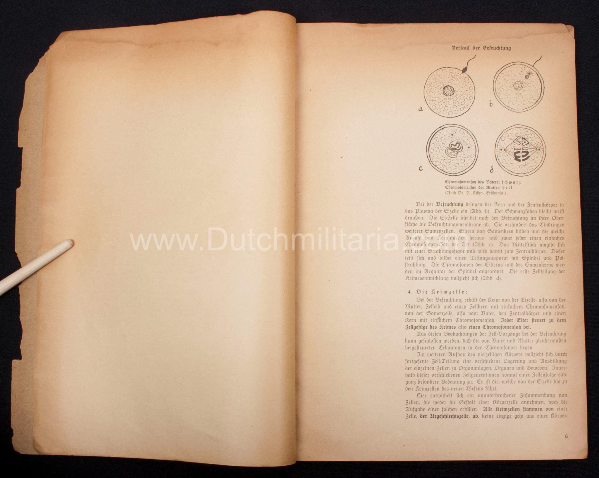 (Book) SS – Der Chef der Sicherheitspolizei und des SD – Der Rassegedanke und seine gesetzliche Gestaltung (1940) – EXTREMELY RARE!!! — image 39