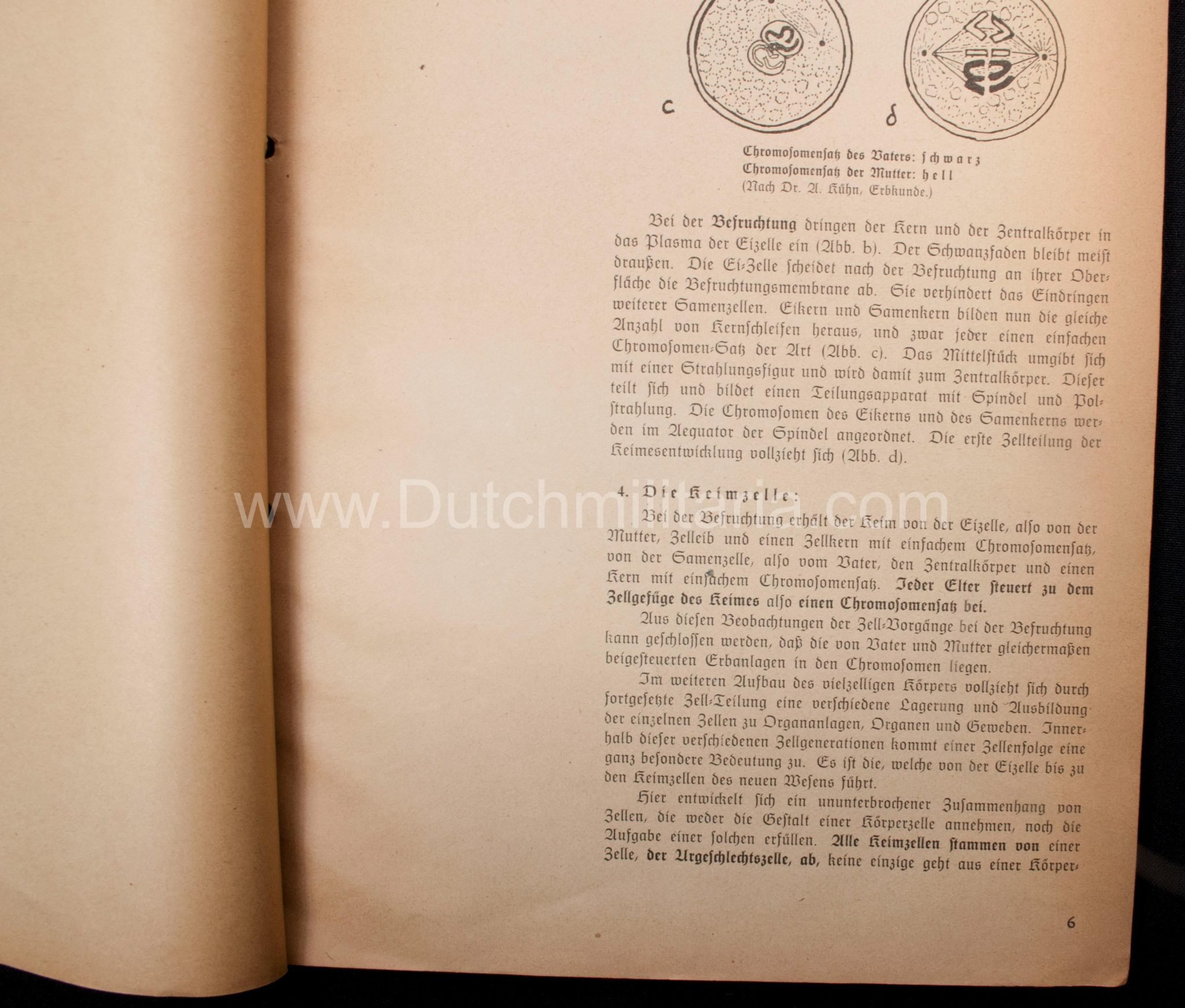 (Book) SS – Der Chef der Sicherheitspolizei und des SD – Der Rassegedanke und seine gesetzliche Gestaltung (1940) – EXTREMELY RARE!!! — image 41