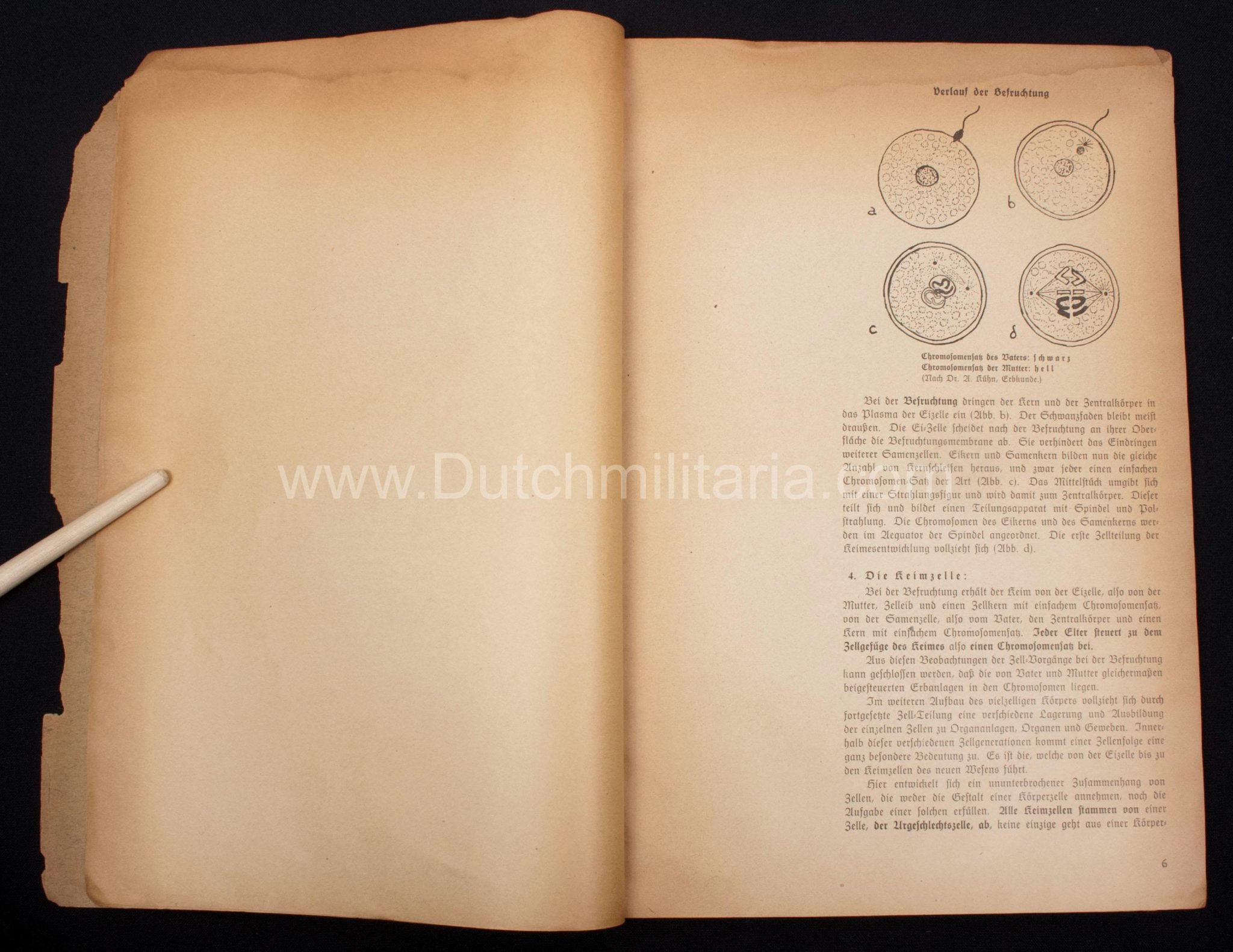 (Book) SS – Der Chef der Sicherheitspolizei und des SD – Der Rassegedanke und seine gesetzliche Gestaltung (1940) – EXTREMELY RARE!!! — image 42