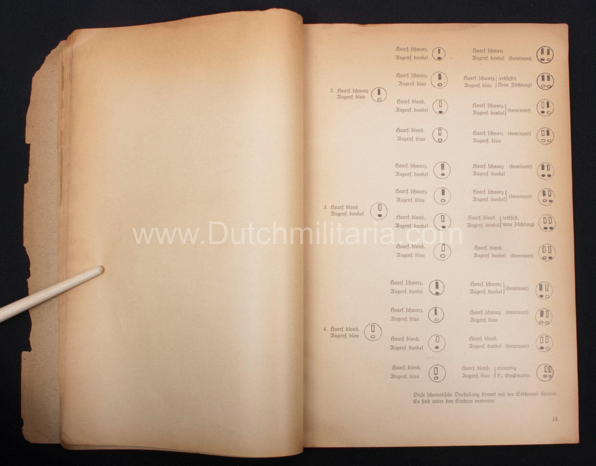 (Book) SS – Der Chef der Sicherheitspolizei und des SD – Der Rassegedanke und seine gesetzliche Gestaltung (1940) – EXTREMELY RARE!!! — image 44