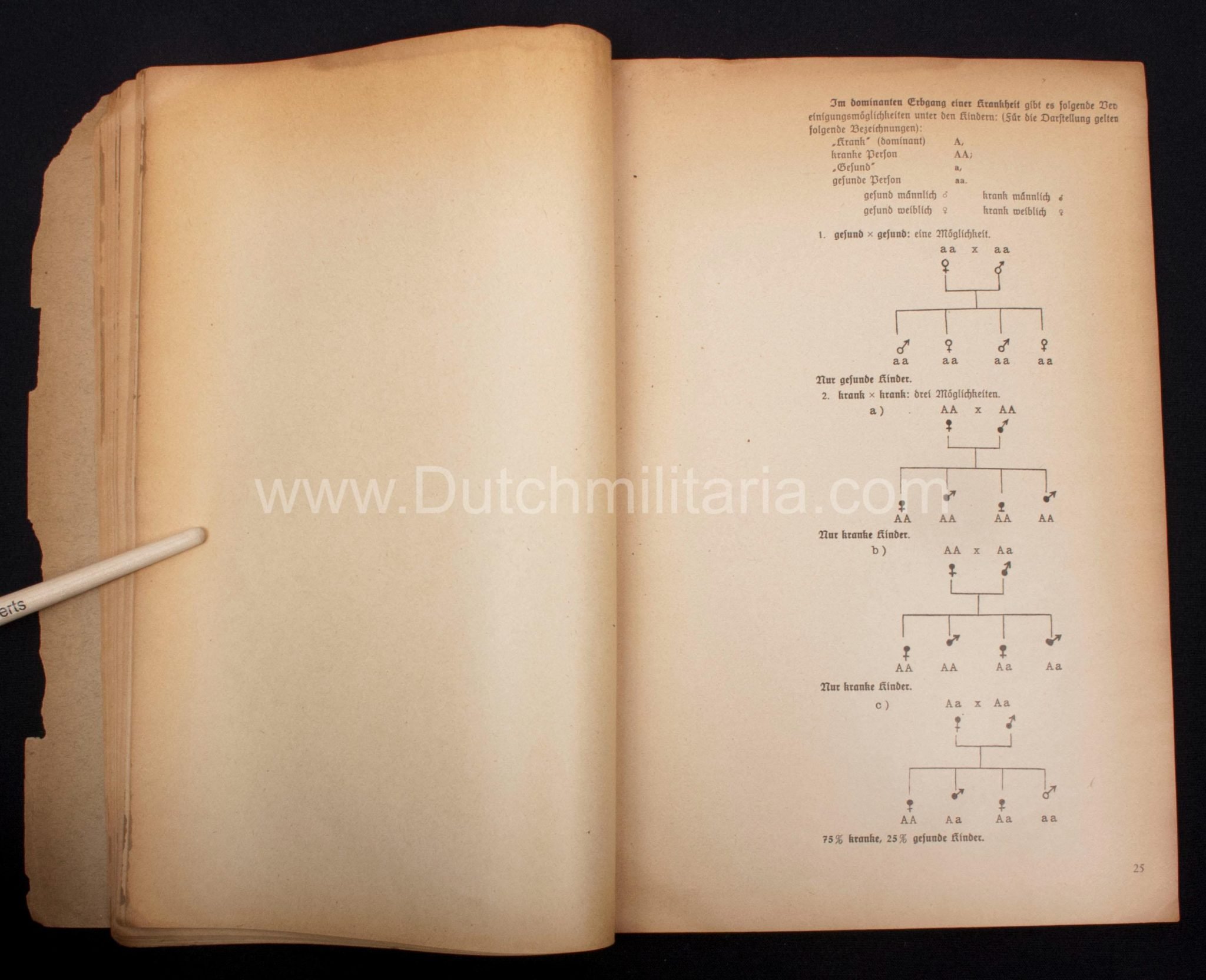 (Book) SS – Der Chef der Sicherheitspolizei und des SD – Der Rassegedanke und seine gesetzliche Gestaltung (1940) – EXTREMELY RARE!!! — image 45