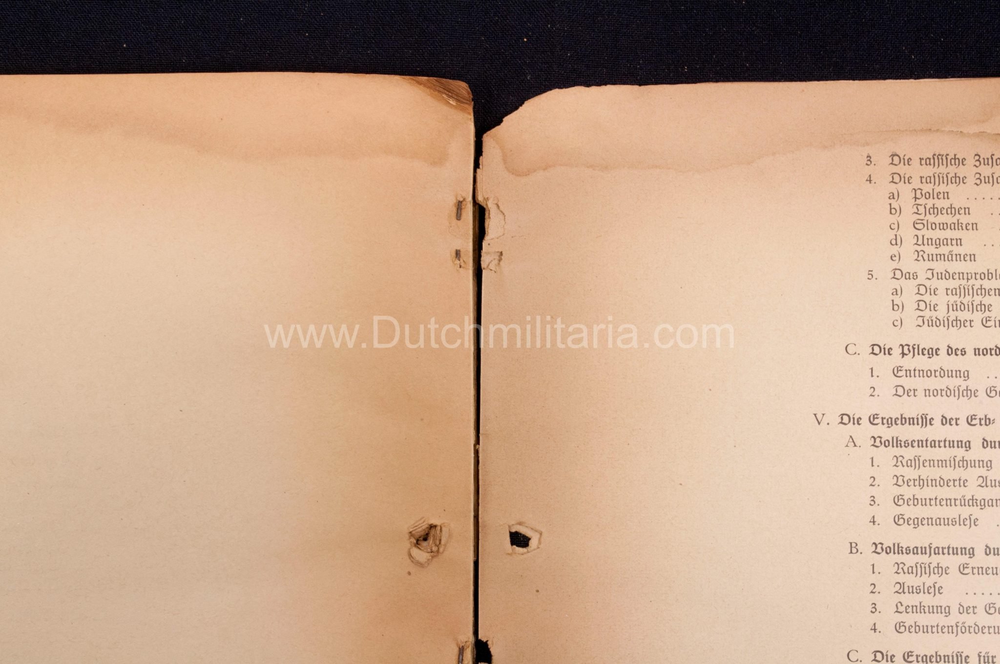 (Book) SS – Der Chef der Sicherheitspolizei und des SD – Der Rassegedanke und seine gesetzliche Gestaltung (1940) – EXTREMELY RARE!!! — image 50