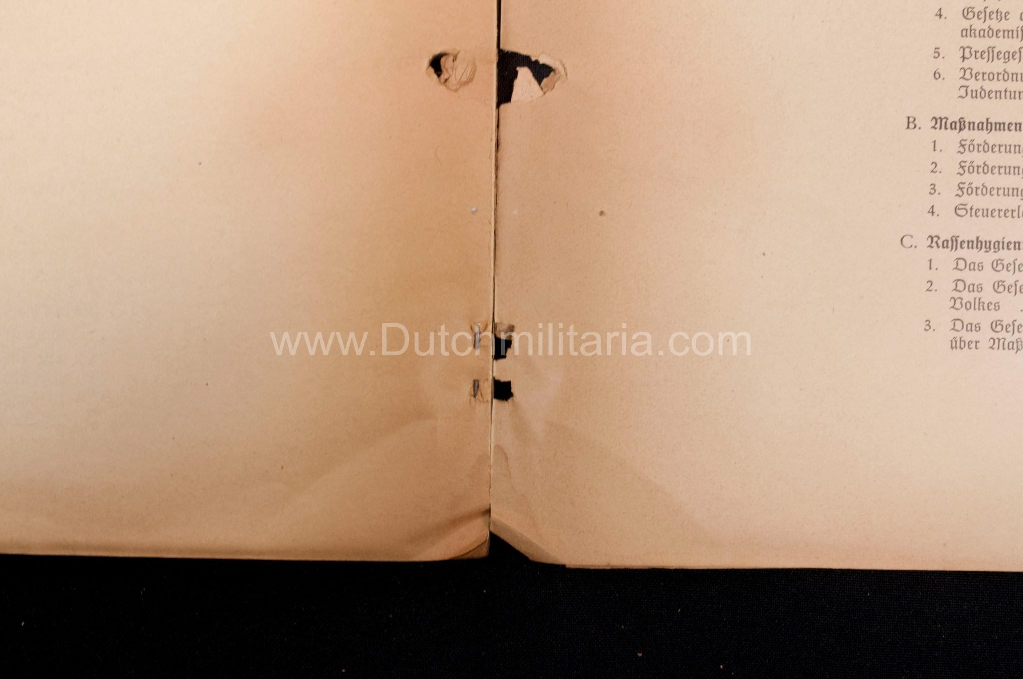 (Book) SS – Der Chef der Sicherheitspolizei und des SD – Der Rassegedanke und seine gesetzliche Gestaltung (1940) – EXTREMELY RARE!!! — image 52