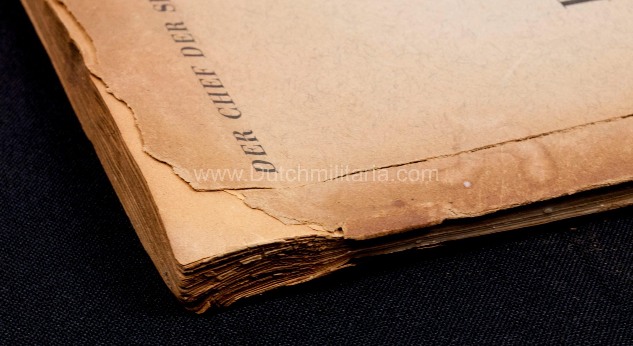 (Book) SS – Der Chef der Sicherheitspolizei und des SD – Der Rassegedanke und seine gesetzliche Gestaltung (1940) – EXTREMELY RARE!!! — image 9