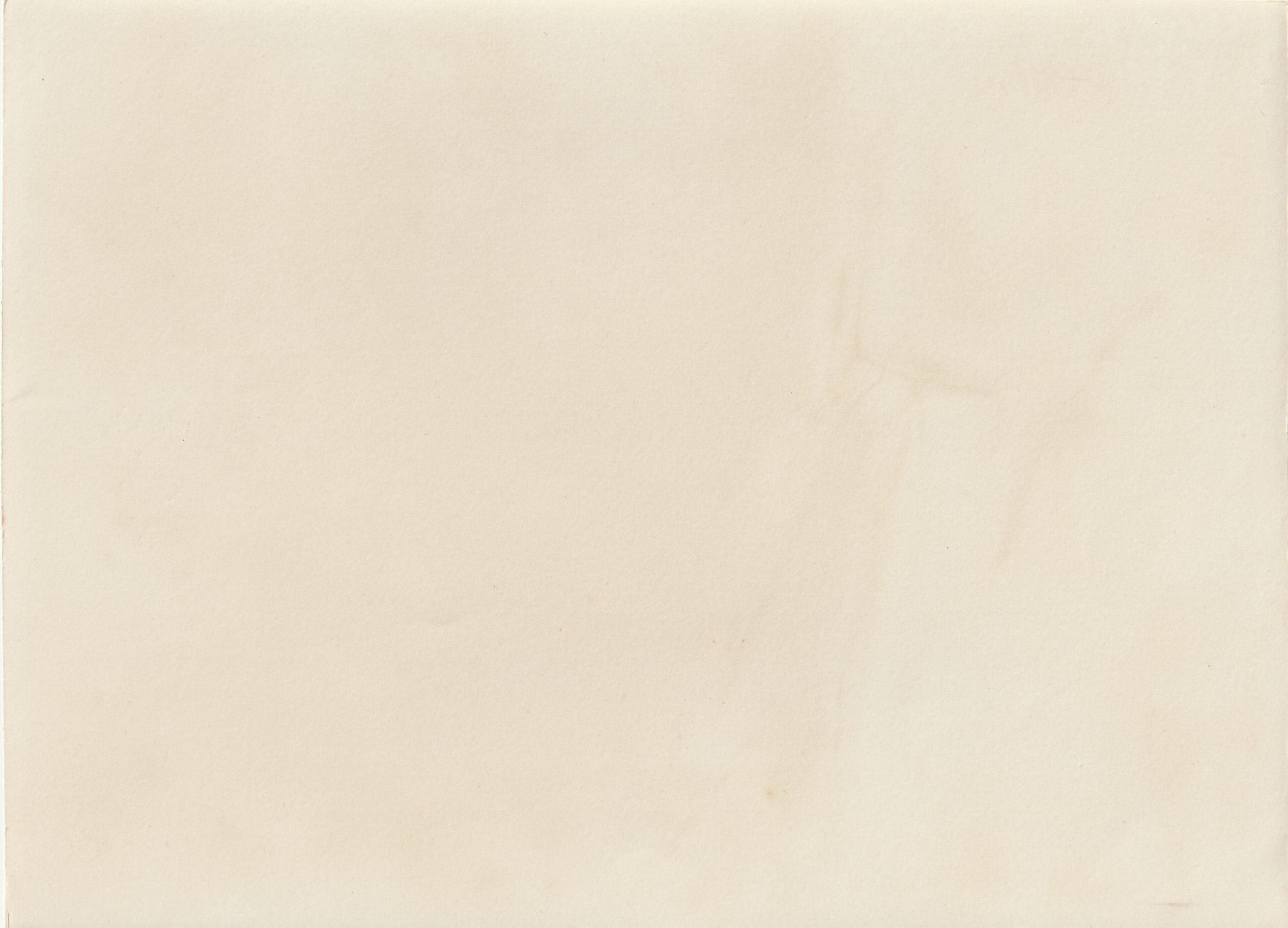 (Pressphoto) Pferde-Biwak der Reiter-SA (24x18cm) — image 2