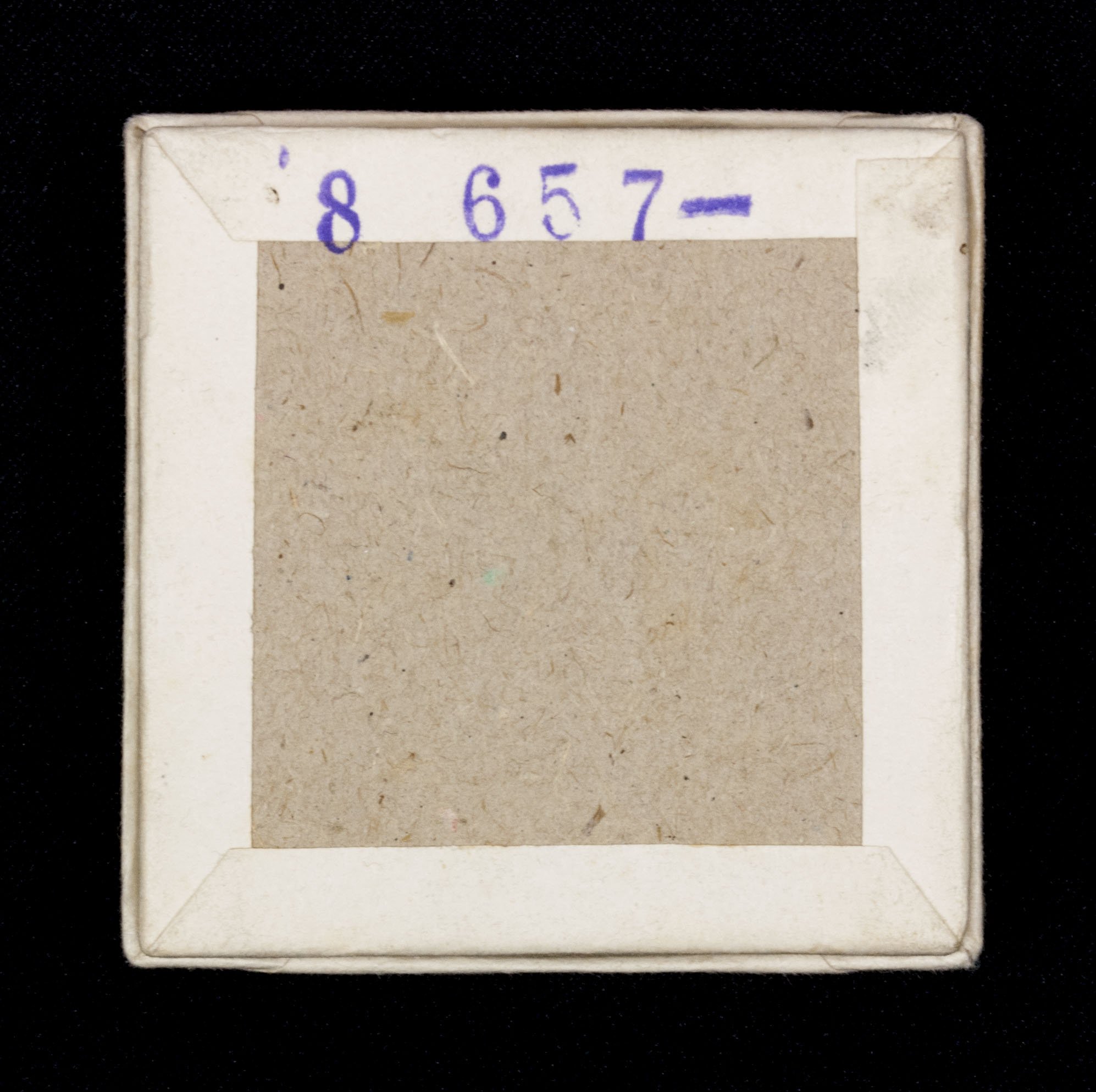 (Denmark) Cased Waffen-SS Ehrenkreuz des Schalburg-Korps für Mannschaften — image 9