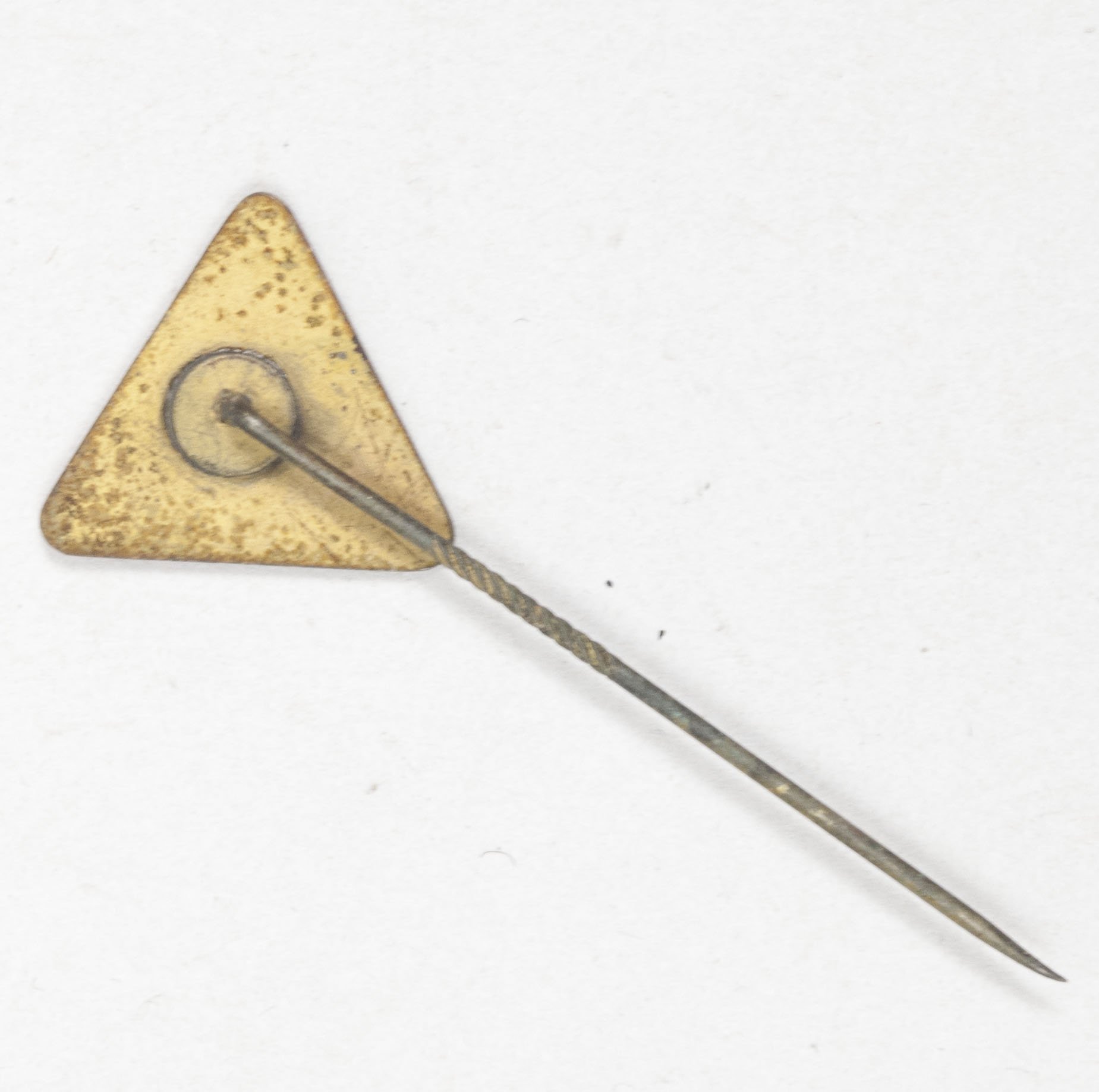 (NSB) Landbouw & Maatschappij member badge — image 5