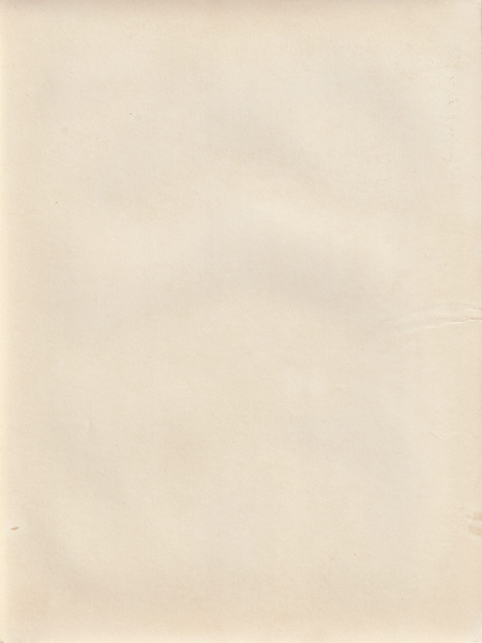 (Pressphoto) Reichminister Speer, Generalfeldmarschall Milch und GFeneralmajor Galland nach der Vorführung neuer Waffen (24x18cm) — image 2