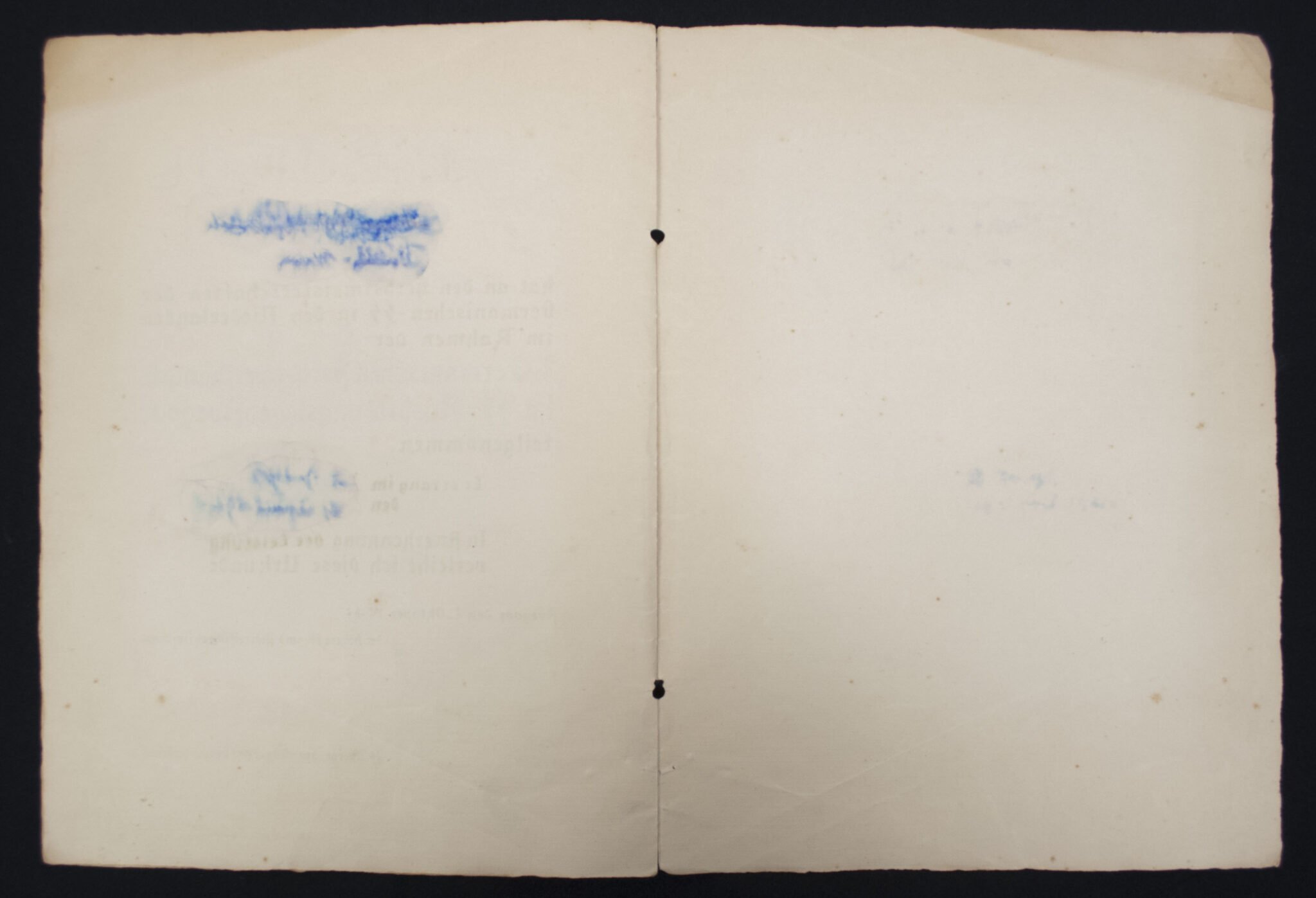 Dutch SS / Germaansche SS : Urkunde SS-Ausbildungslager Avegoor with original Rauter signature (Extremely rare!!!) — image 18