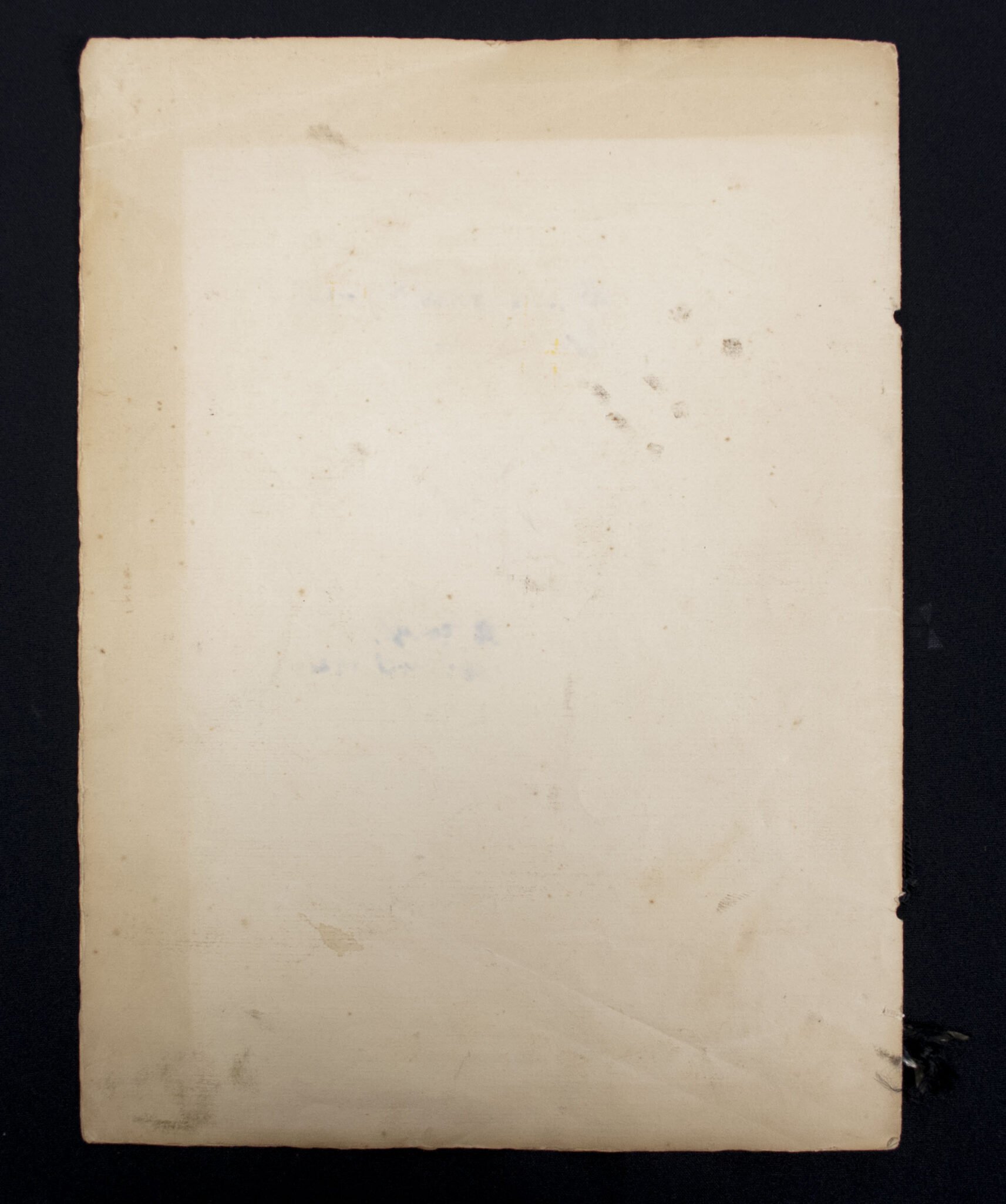 Dutch SS / Germaansche SS : Urkunde SS-Ausbildungslager Avegoor with original Rauter signature (Extremely rare!!!) — image 19