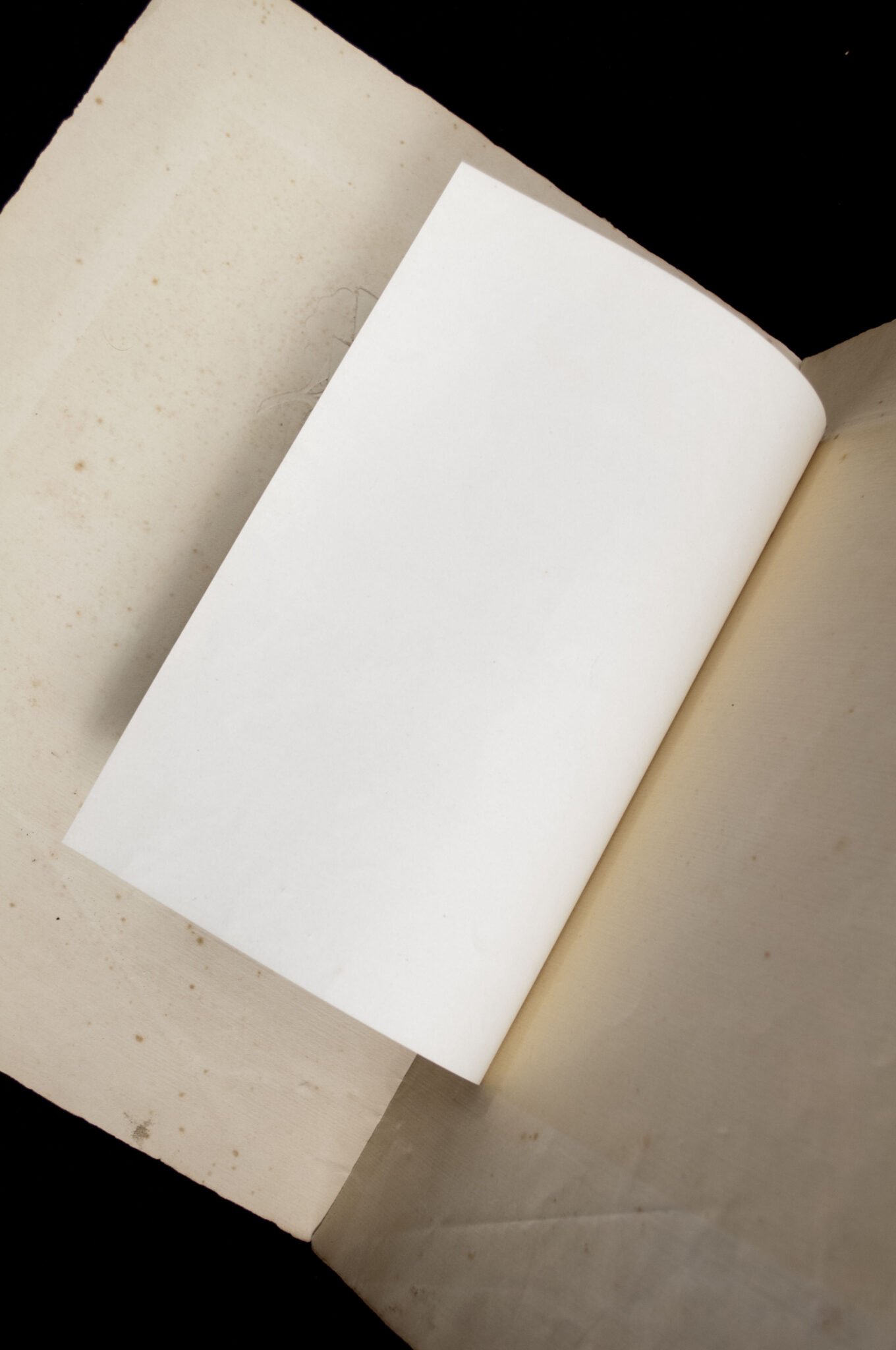 Dutch SS / Germaansche SS : Urkunde SS-Ausbildungslager Avegoor with original Rauter signature (Extremely rare!!!) — image 9