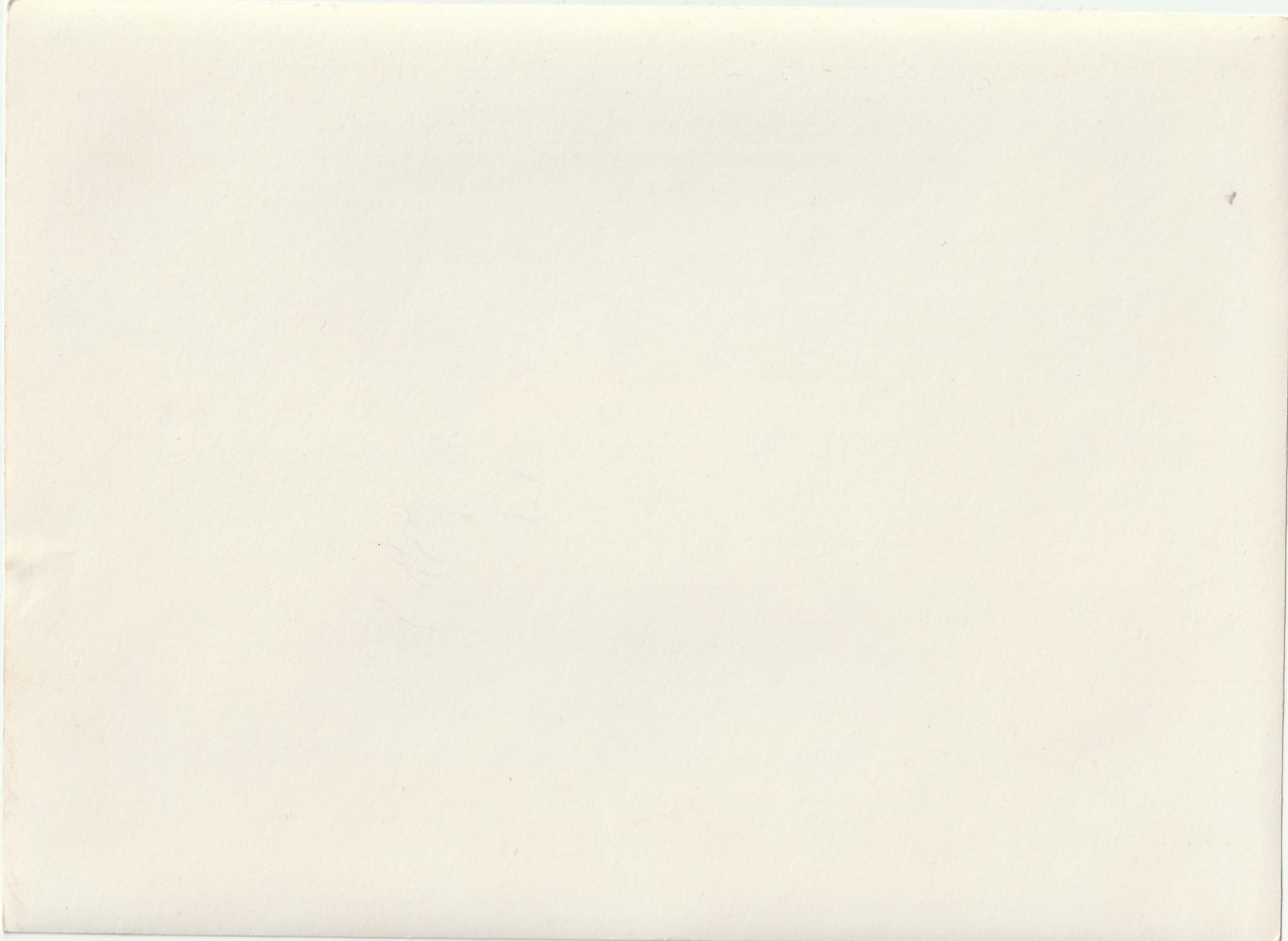 (Pressphoto) Italienischer Besuch in unseren Westfrontstellungen (24x18cm) — image 2