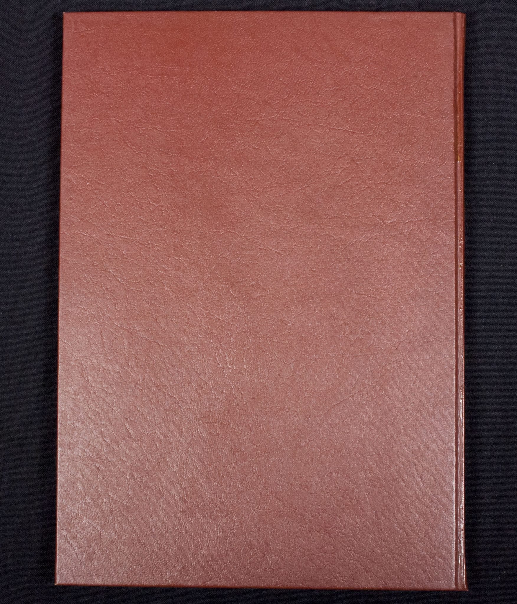 (Book) Hitler Abseits vom Alltag (Hoffmann book) (1937) — image 2