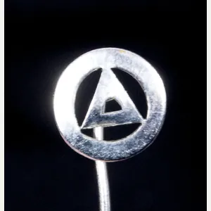 (Belgium) Flemish VNV memberbadge stickpin