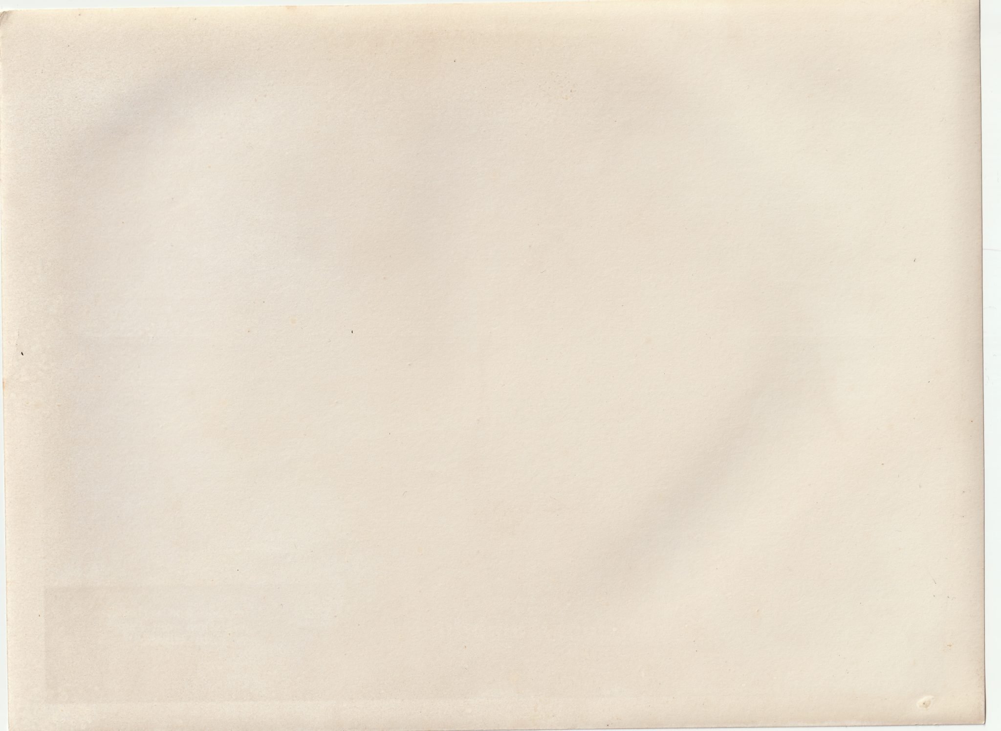 (Pressphoto) Soldaten eines Landeseigenen Verbandes in der Hauptkampflinie (24x18cm) — image 2