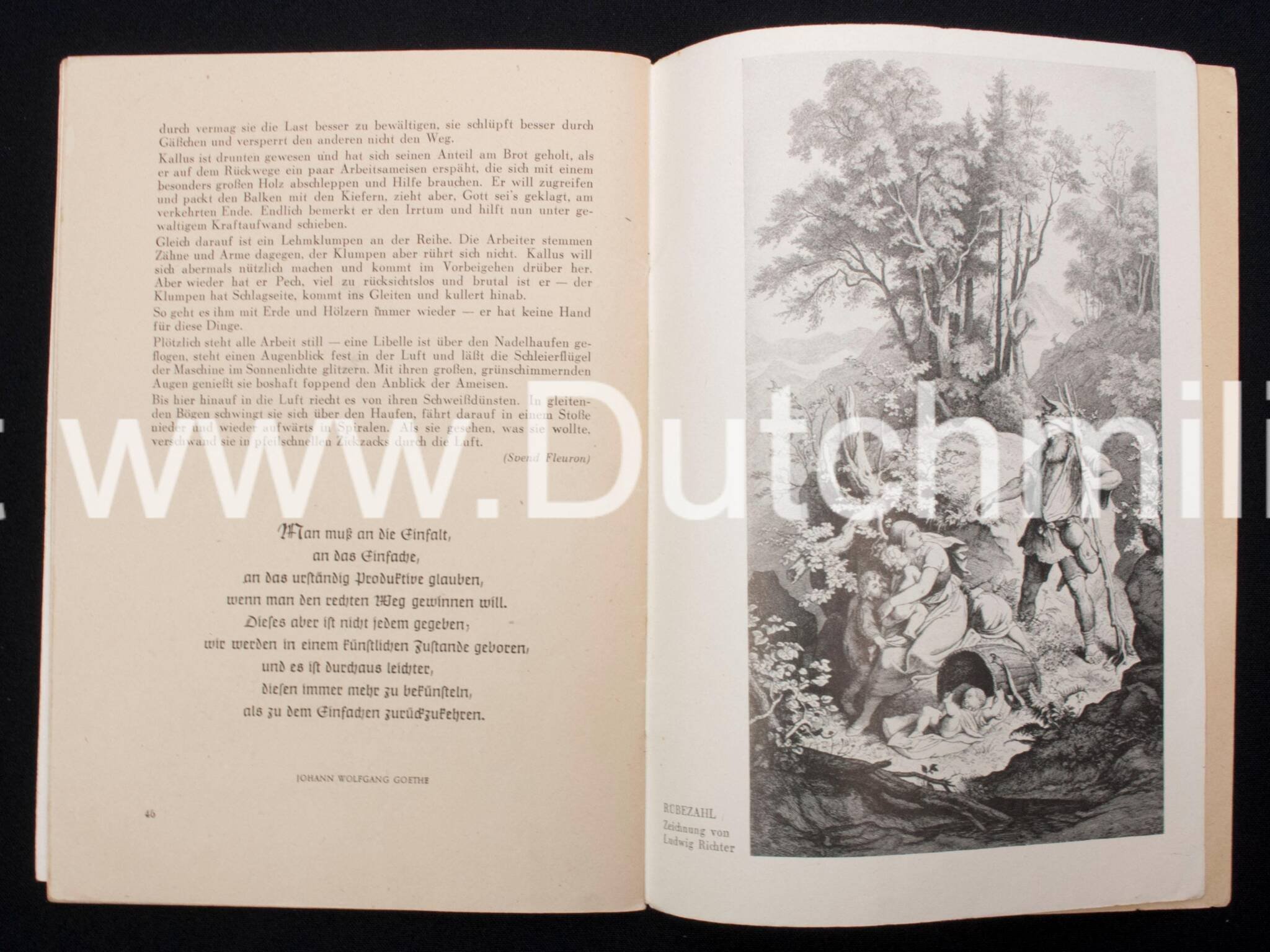 (Brochure) SS-Leitheft 9. Jahrgang – Heft 12 (Dezember 1943) + Die Ritterkreuzträger der Waffen-SS Folge 5 (with Gerardus Mooyman) — image 15