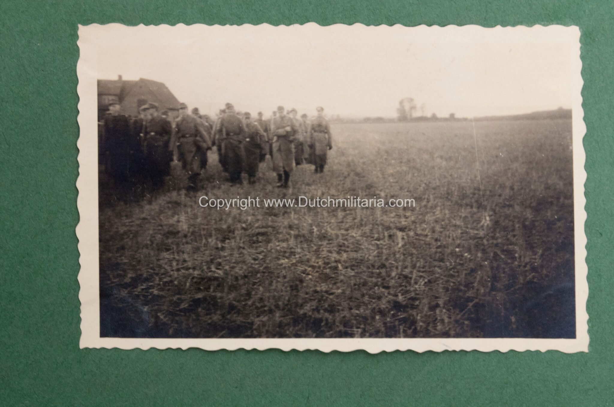 Photoalbum grouping 26 Infanterie Division with 282 photos — image 179