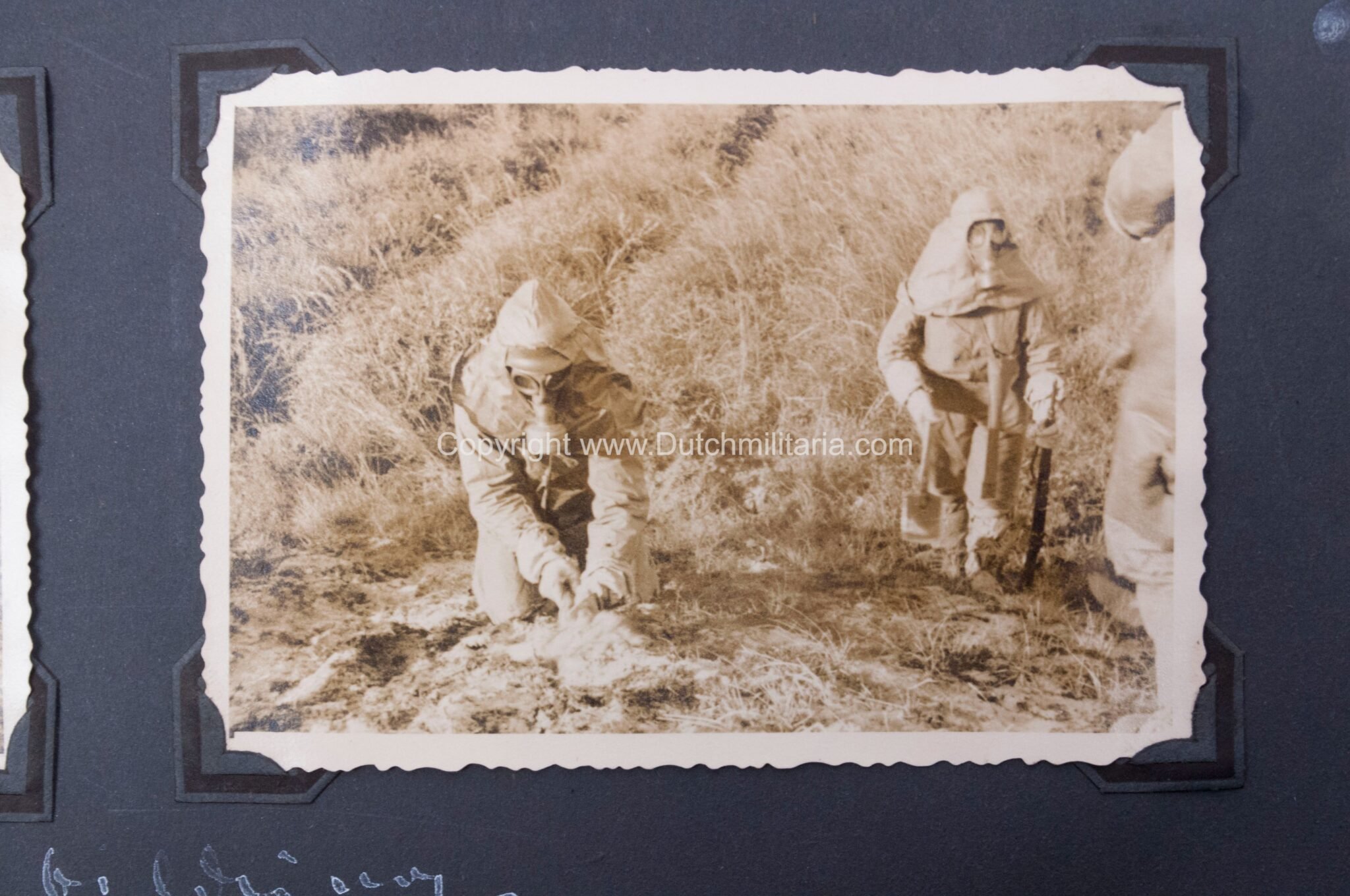 Photoalbum grouping 26 Infanterie Division with 282 photos — image 274