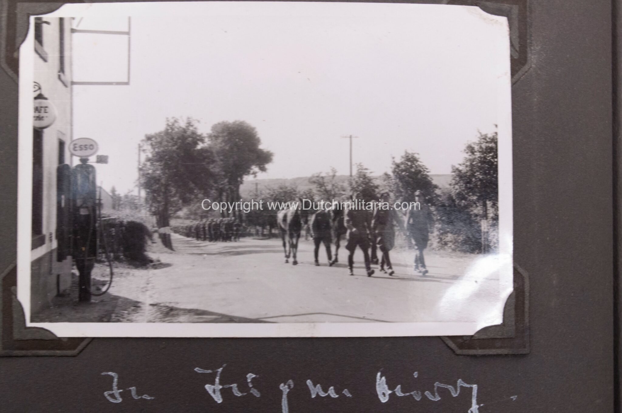 Photoalbum grouping 26 Infanterie Division with 282 photos — image 292