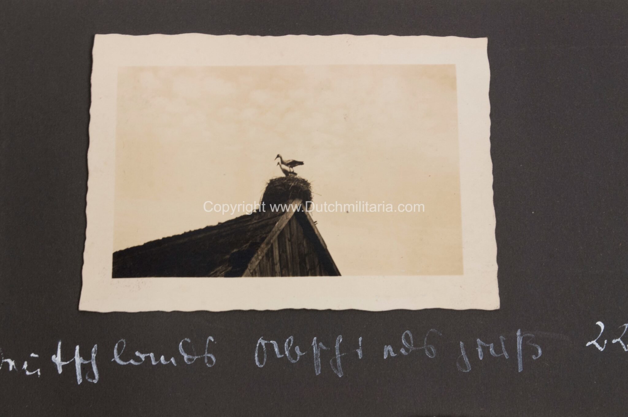 Photoalbum grouping 26 Infanterie Division with 282 photos — image 362