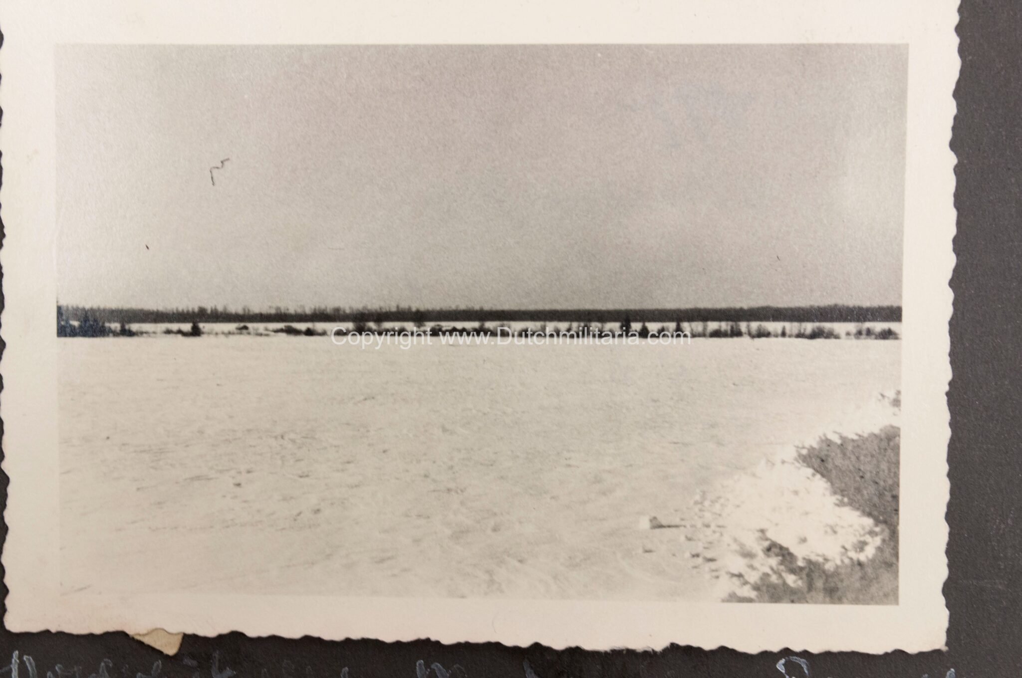 Photoalbum grouping 26 Infanterie Division with 282 photos — image 375