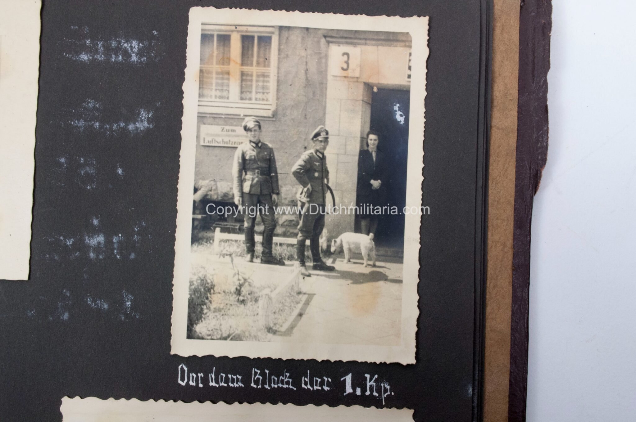 Photoalbum grouping 26 Infanterie Division with 282 photos — image 417